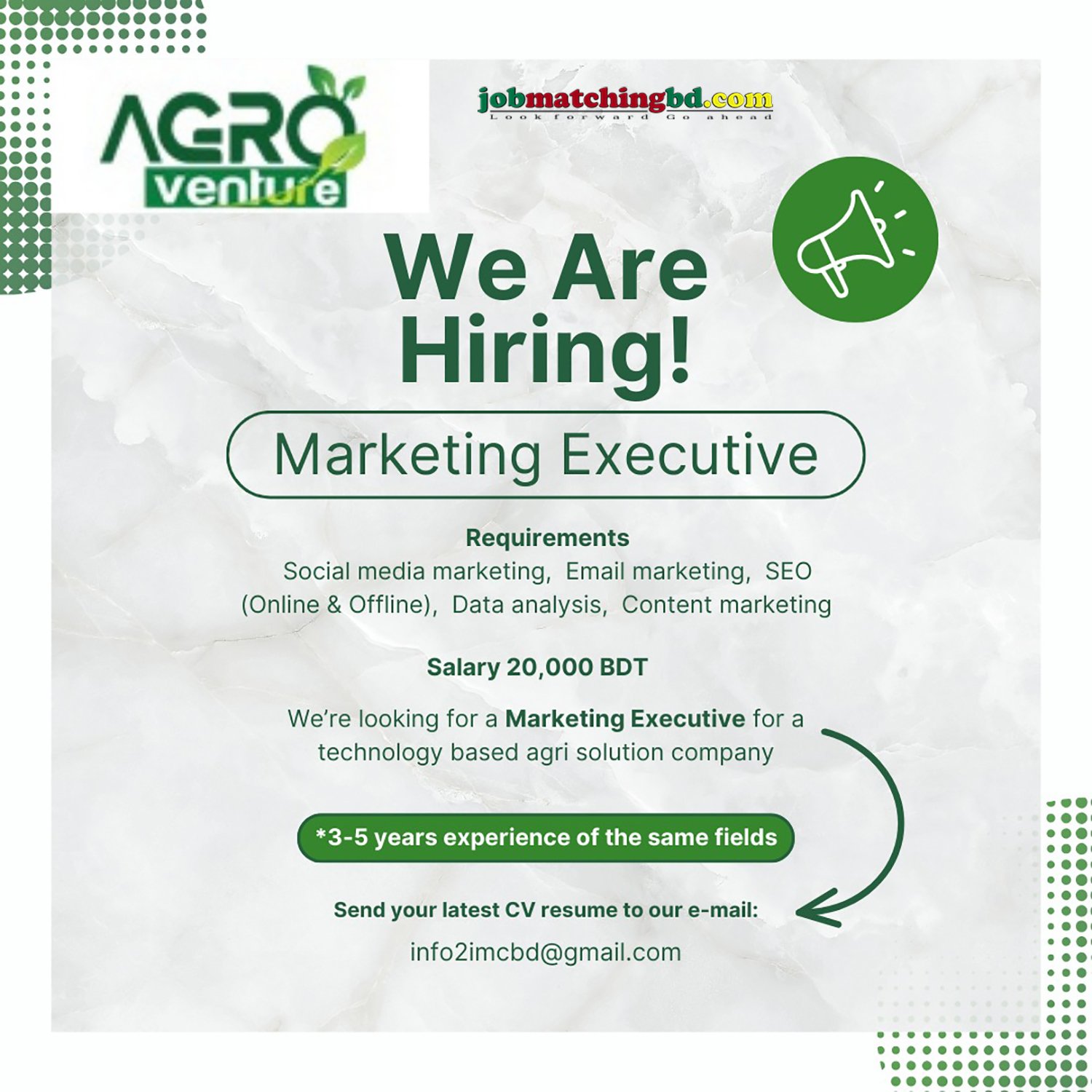Marketing Executive