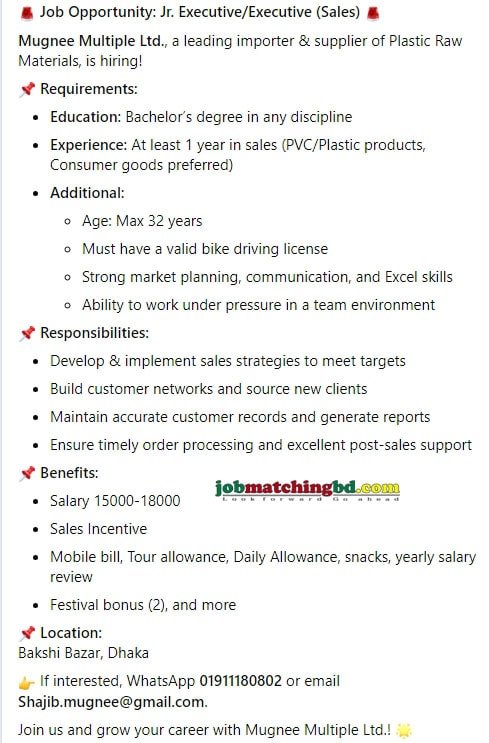 Sales Executive Job Description 2024