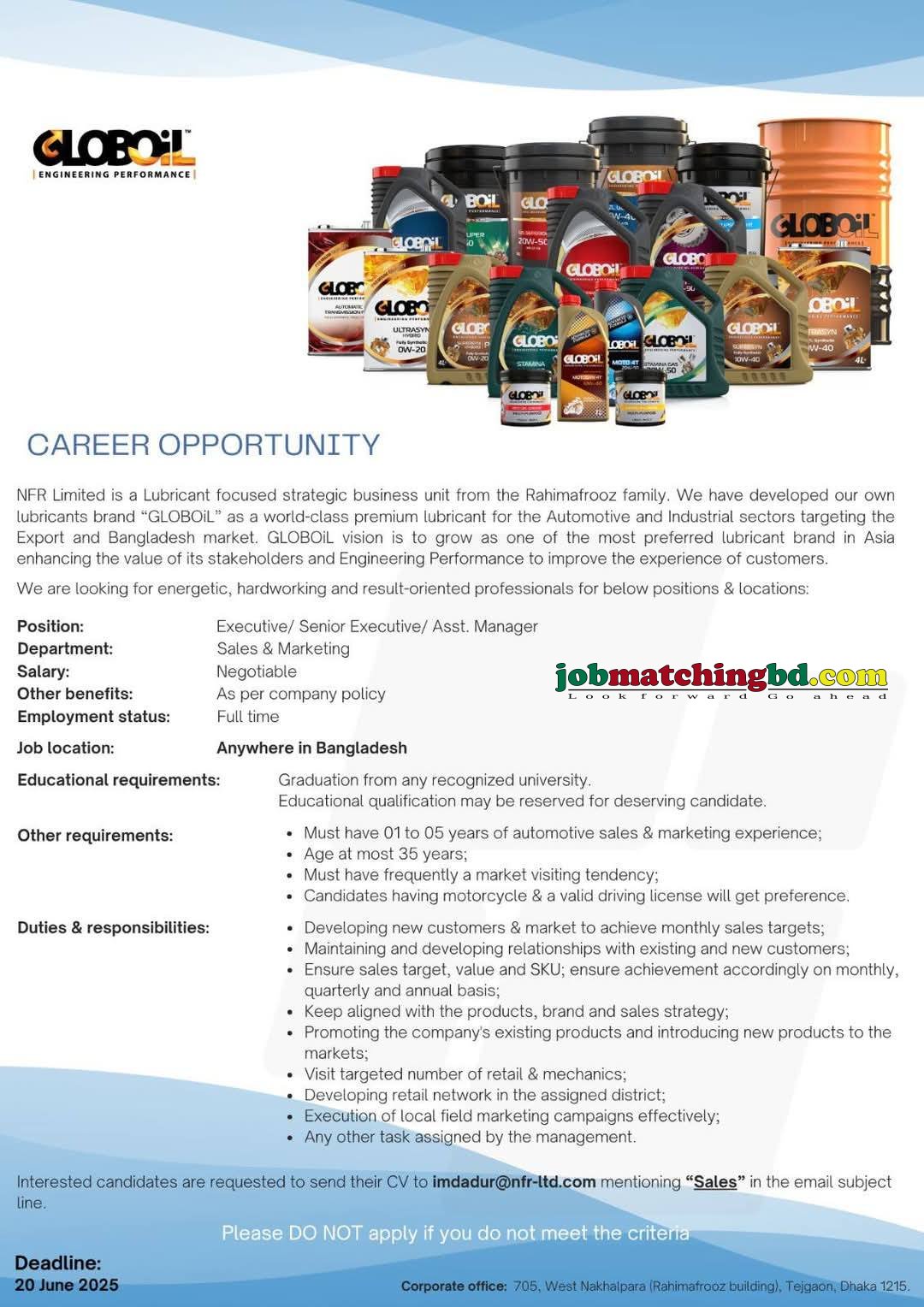 Sales Executive Job