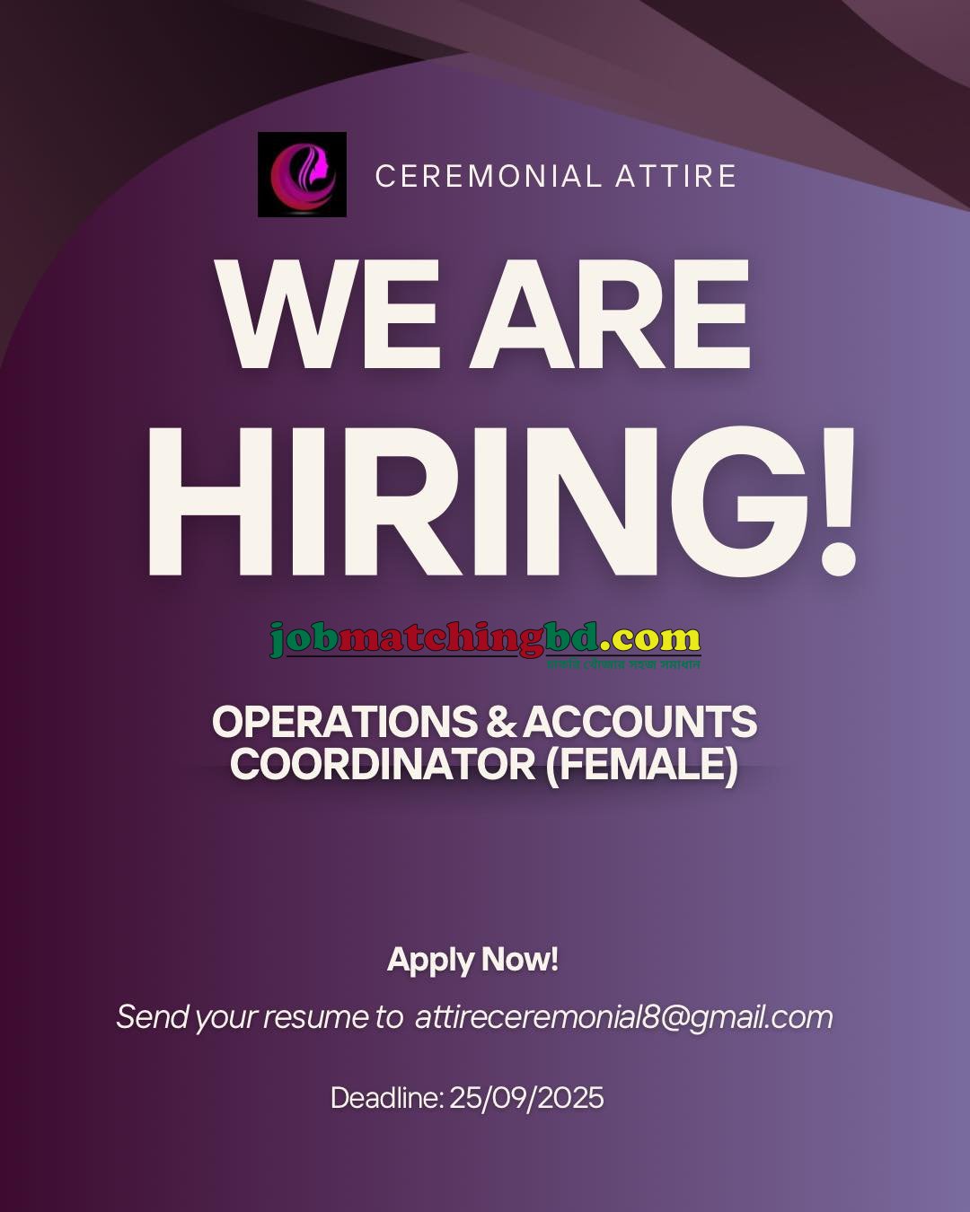 New Accounting Jobs