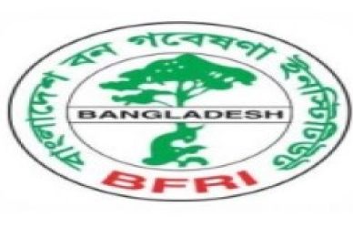 বন গবেষণা