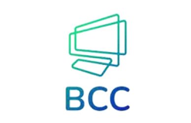 বাংলাদেশ কম্পিউটার কাউন্সিল