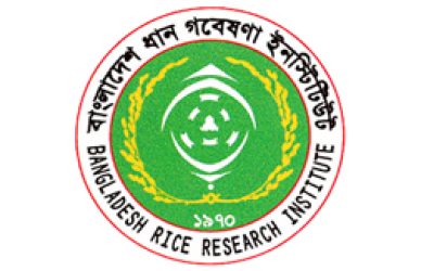 বাংলাদেশ ধান গবেষণা ইনস্টিটিউট