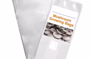 Custom Mushroom Mylar Bags