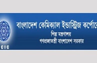 বিসিআইসি