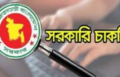 সরকারি চাকরি