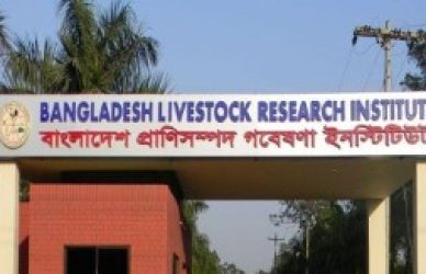 বাংলাদেশ প্রাণিসম্পদ