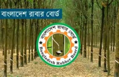 রাবার বোর্ড