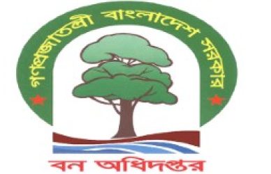 বন অধিদপ্তর